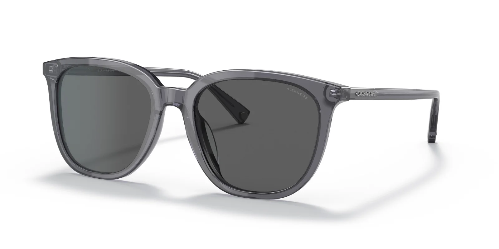 Coach Sunglasses HC8338U