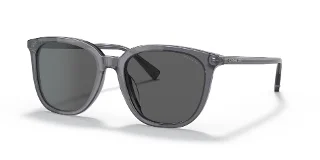 Coach Sunglasses HC8338U