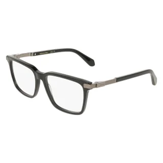 Salvatore Ferragamo Eyeglasses SF3065