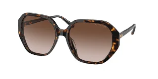 300613 Dark Tortoise