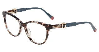 (0721) Grey Tortoise