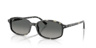 133371 Grey Havana
