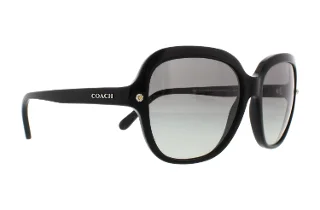 Coach Sunglasses HC8192 L1613