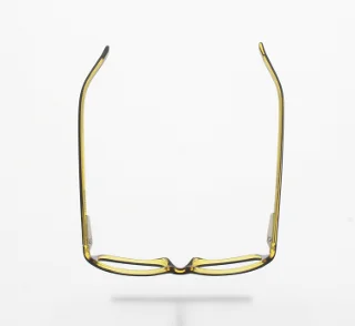 Polo Eyeglasses PP8502