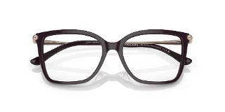 Michael Kors Eyeglasses MK4101U