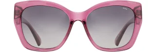 INVU Sunglasses INVU- 309