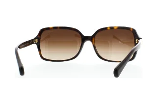 Coach Sunglasses HC8116 L087 Blair