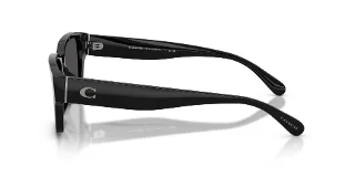 Coach Sunglasses HC8441U