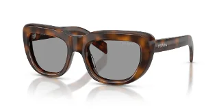 20D50Q Juniper Tortoise