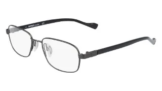 Flexon Eyeglasses AUTOFLEX 117