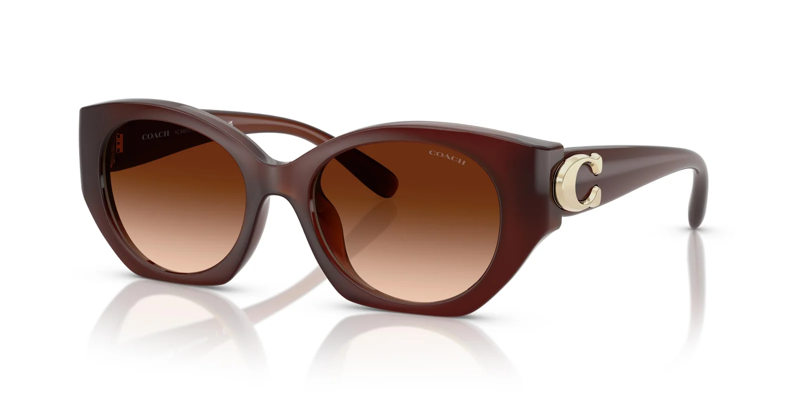 Coach Sunglasses HC8407U