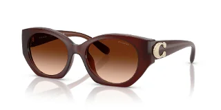 584174 Milky Hazelnut