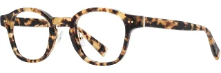 C03 Sand Tortoise