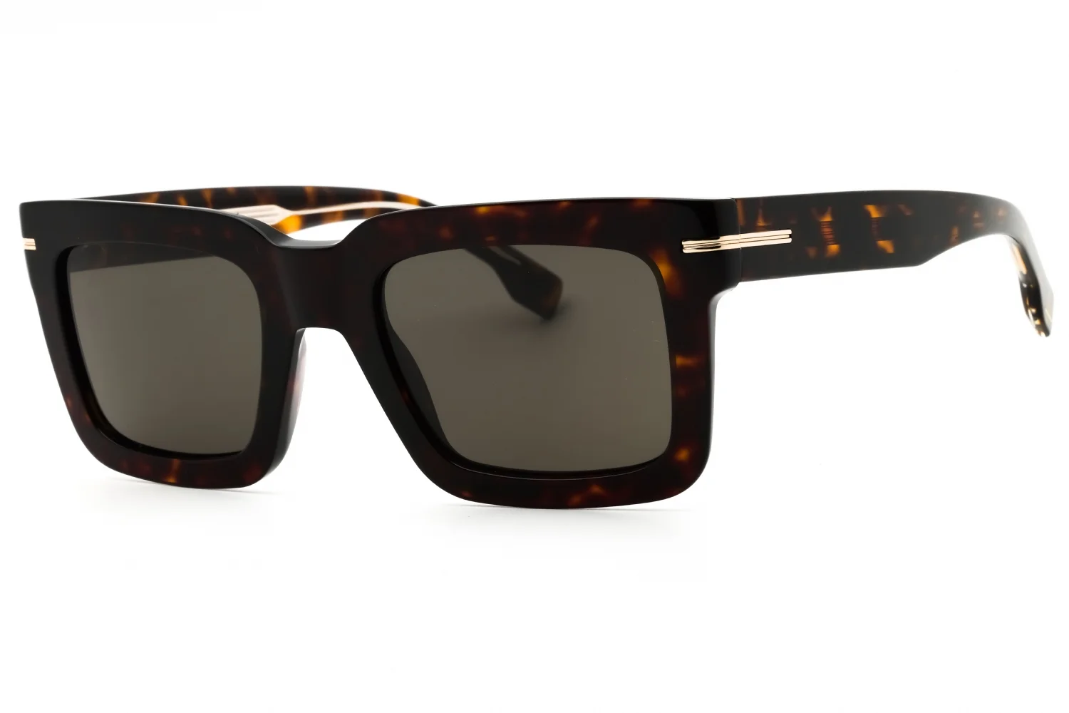 Hugo Boss Sunglasses BOSS 1501/S