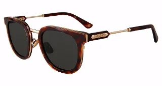 Police Sunglasses SPLF19