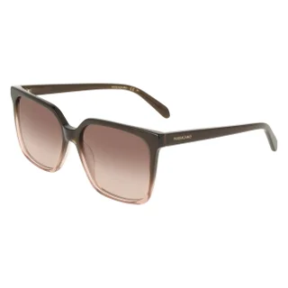 234 Transparent Brown Gradient