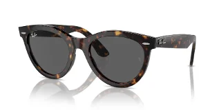 Ray Ban Sunglasses RB2241F
