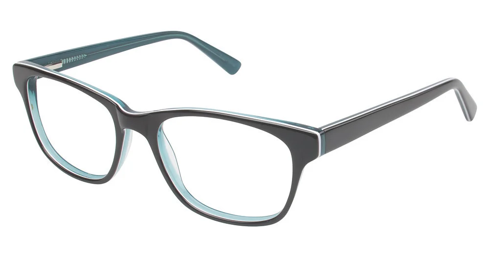 Vision's Eyeglasses 205
