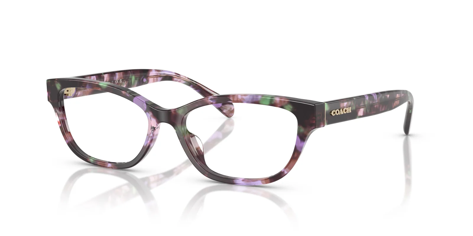 Coach Eyeglasses HC6250U