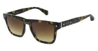 120-Als-5042 Sun Echo Camo Tort