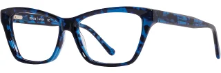C03 Navy Tortoise