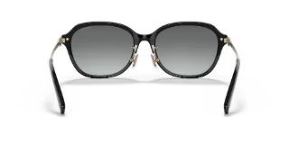 Coach Sunglasses HC8332D