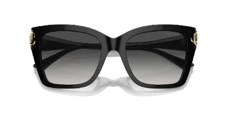 Jimmy Choo Sunglasses JC5012F