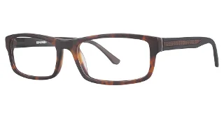 024 Tortoise