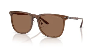 628273 Shiny Transparent Brown