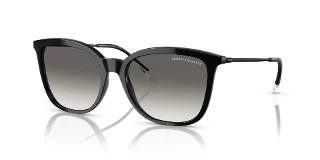 Armani Exchange Sunglasses AX4151SF