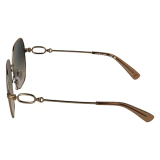 Longchamp Sunglasses LO187S