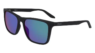 Dragon Sunglasses DR RENEW LL ION