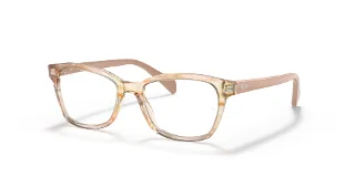 3809 Brown Stripped Multicolor