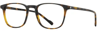 C02 Tortoise