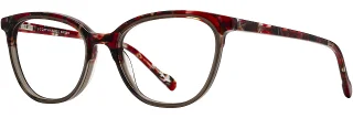 C02 Cherry Tortoise / Shadow