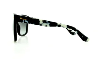 Salvatore Ferragamo Sunglasses SF676S