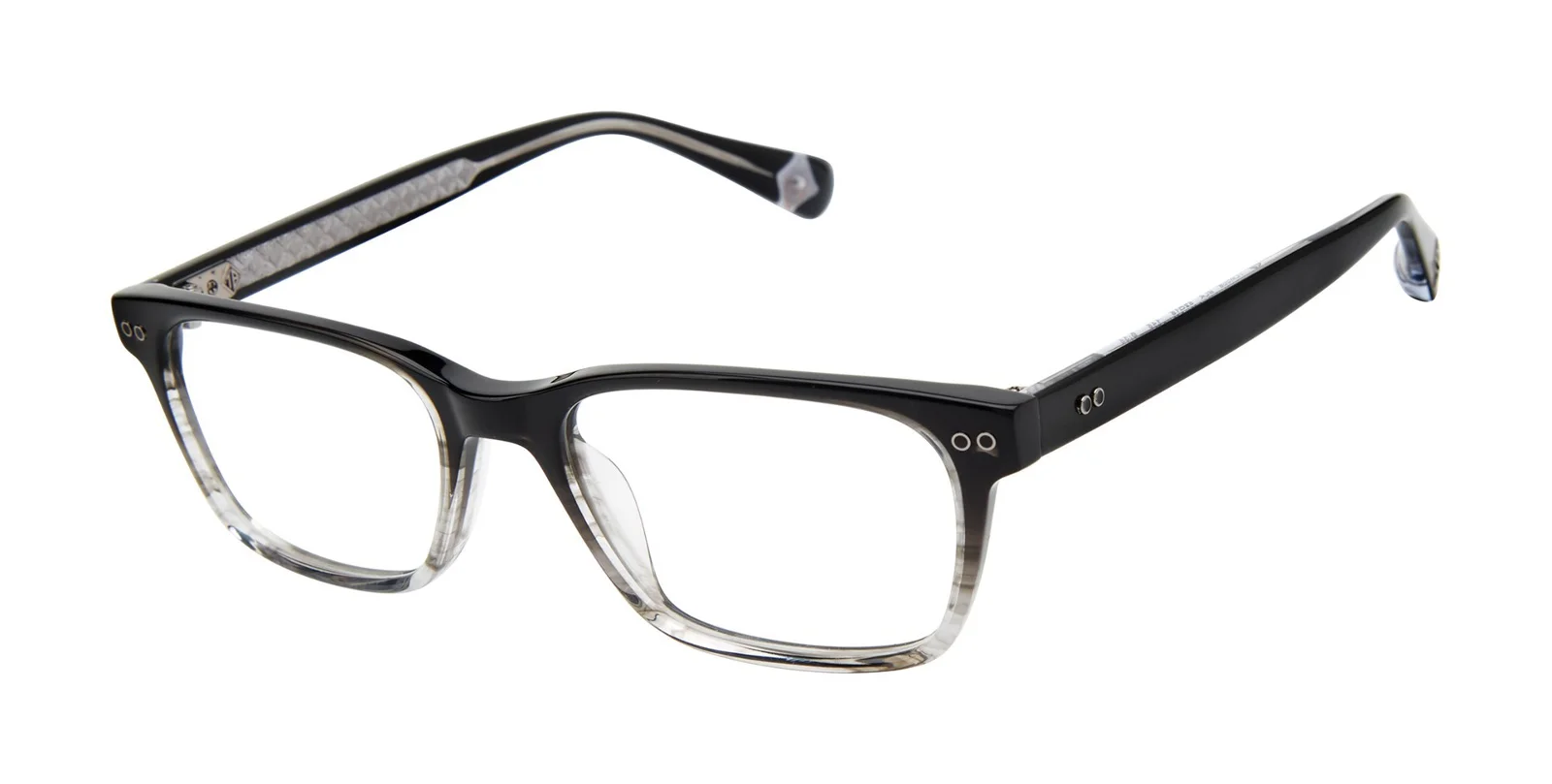 Ted Baker Eyeglasses TLM006