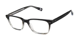 Ted Baker Eyeglasses TLM006