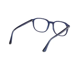 Web Eyeglasses WE5454