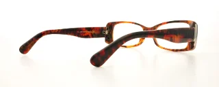 Ralph Lauren Eyeglasses RL6096