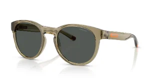 303187 Transparent Olive