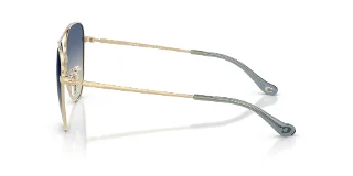 Coach Sunglasses HC7182