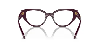 Swarovski Eyeglasses SK2024