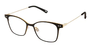 M100-K-781 Black Marigold
