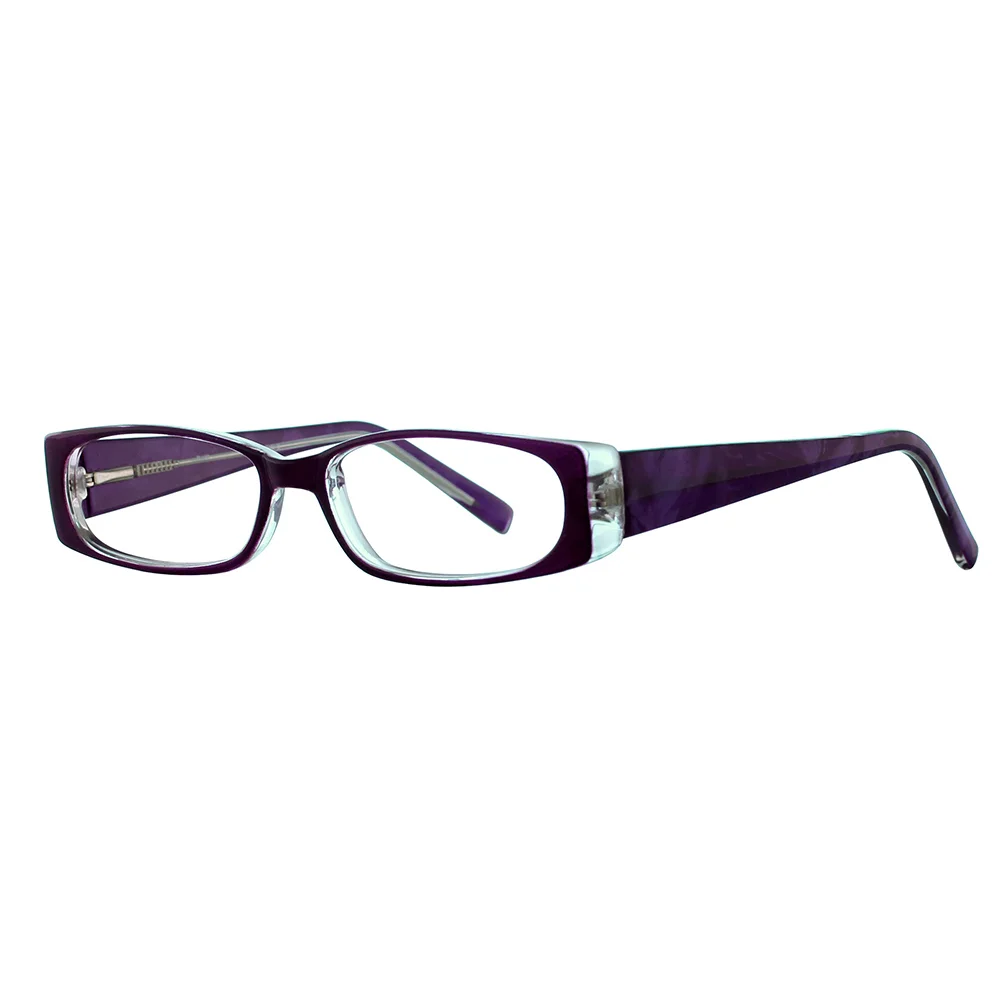 Stylewise Eyeglasses SW443