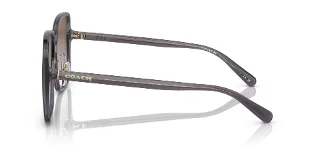 Coach Sunglasses HC8368D