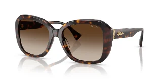 500313 Shiny Brown Havana