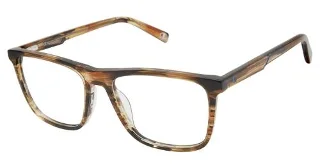 C02 Brown Horn
