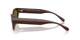 Coach Sunglasses HC8459U