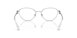 Swarovski Eyeglasses SK1002
